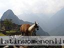 Machu-Picchu-008